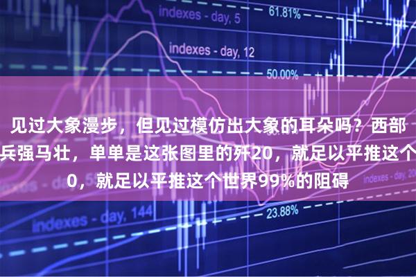 见过大象漫步，但见过模仿出大象的耳朵吗？西部方向现在真的是兵强马壮，单单是这张图里的歼20，就足以平推这个世界99%的阻碍